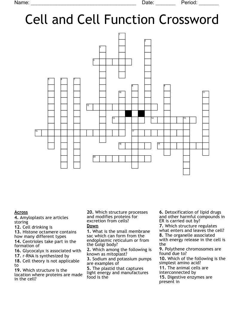 Cell and Cell Function Crossword
