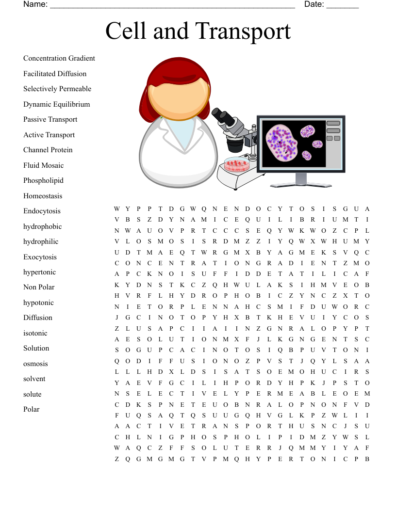 Cell and Transport Word Search