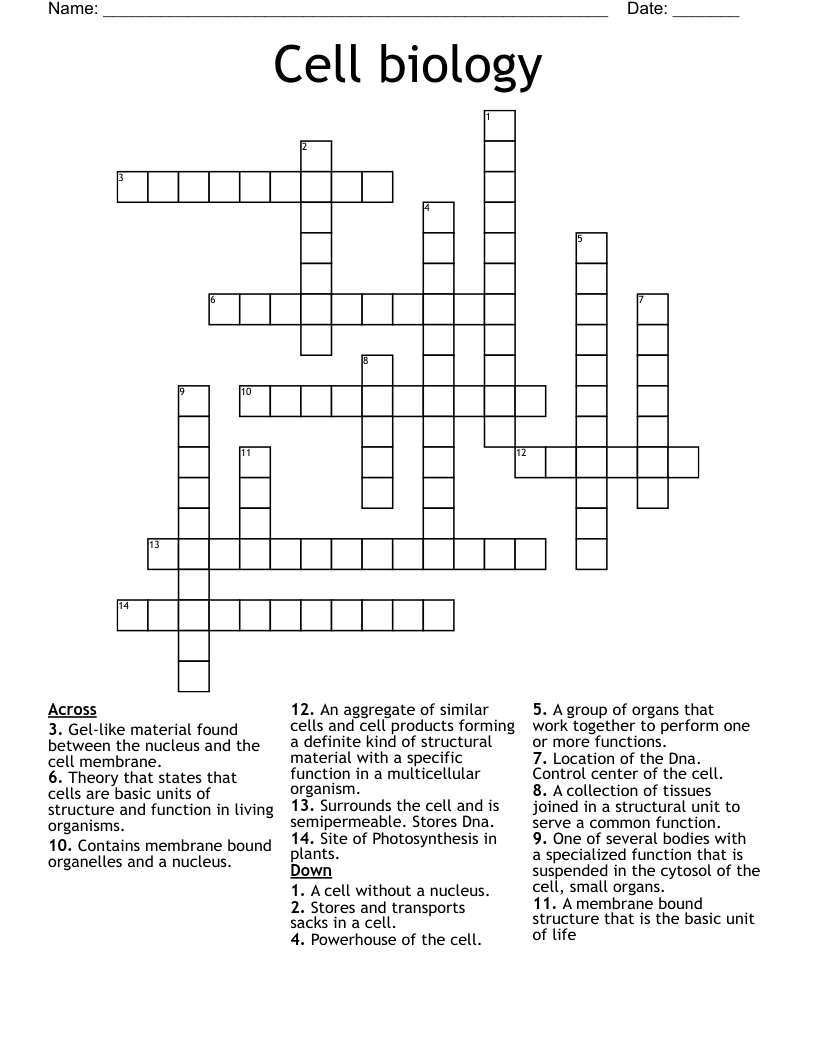 Cell biology  Crossword