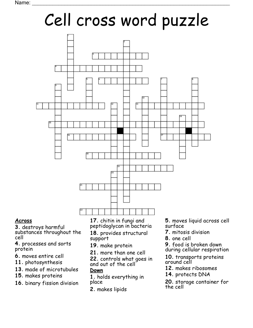 Cell cross word puzzle