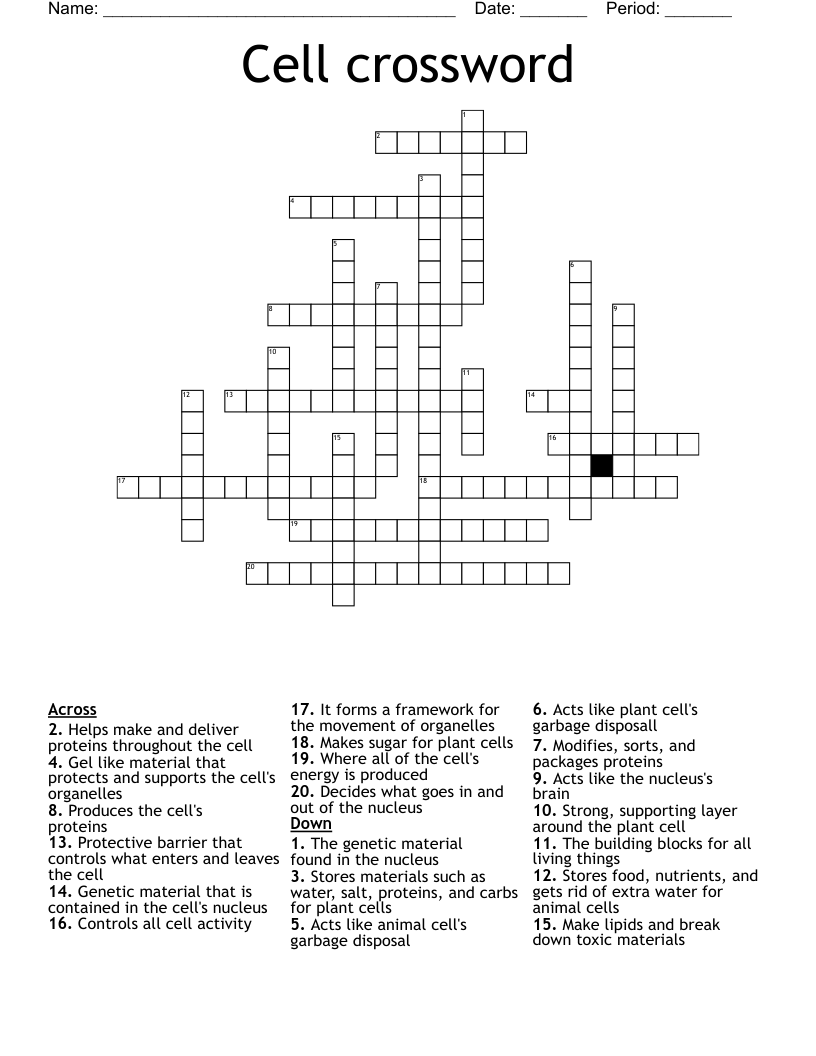 Cell crossword