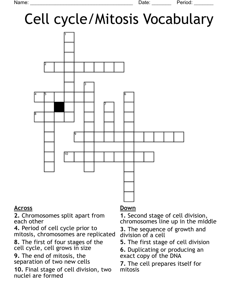 Cell cycle/Mitosis Vocabulary Crossword