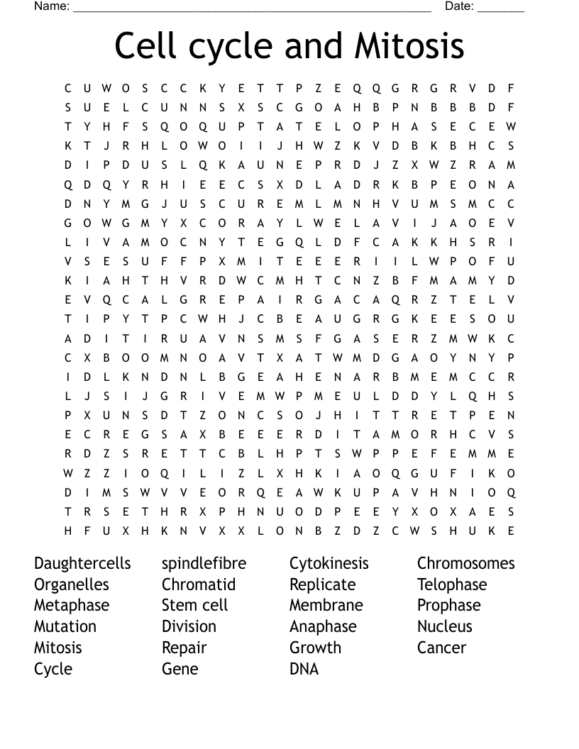 Cell cycle and Mitosis  Word Search