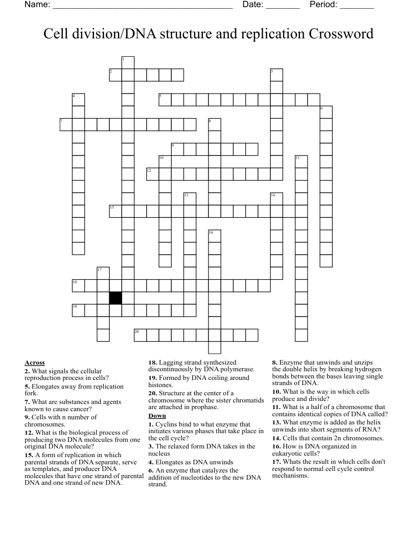 Cell division/DNA structure and replication Crossword