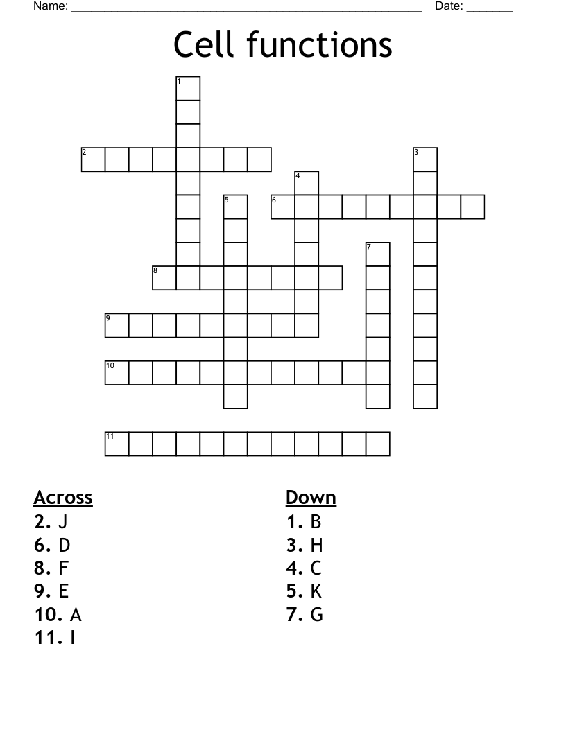 Cell functions  Crossword