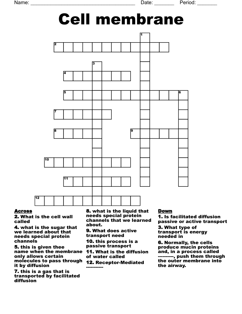 Cell membrane  Crossword