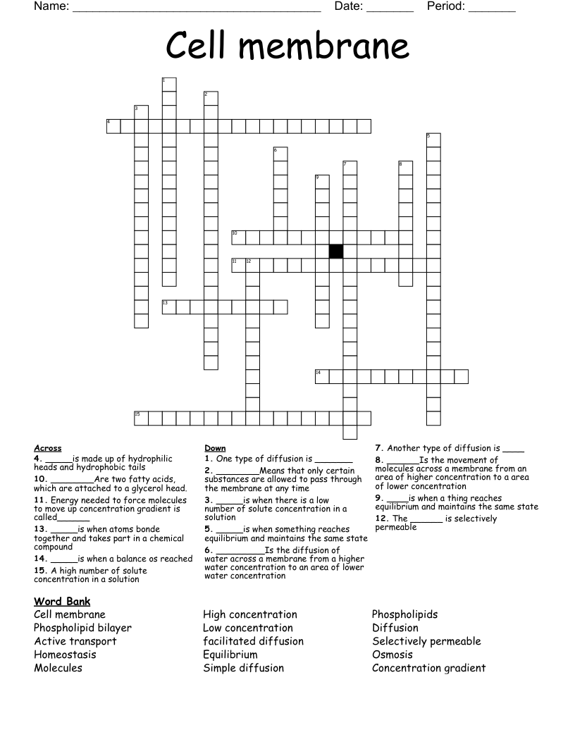 Cell membrane  Crossword