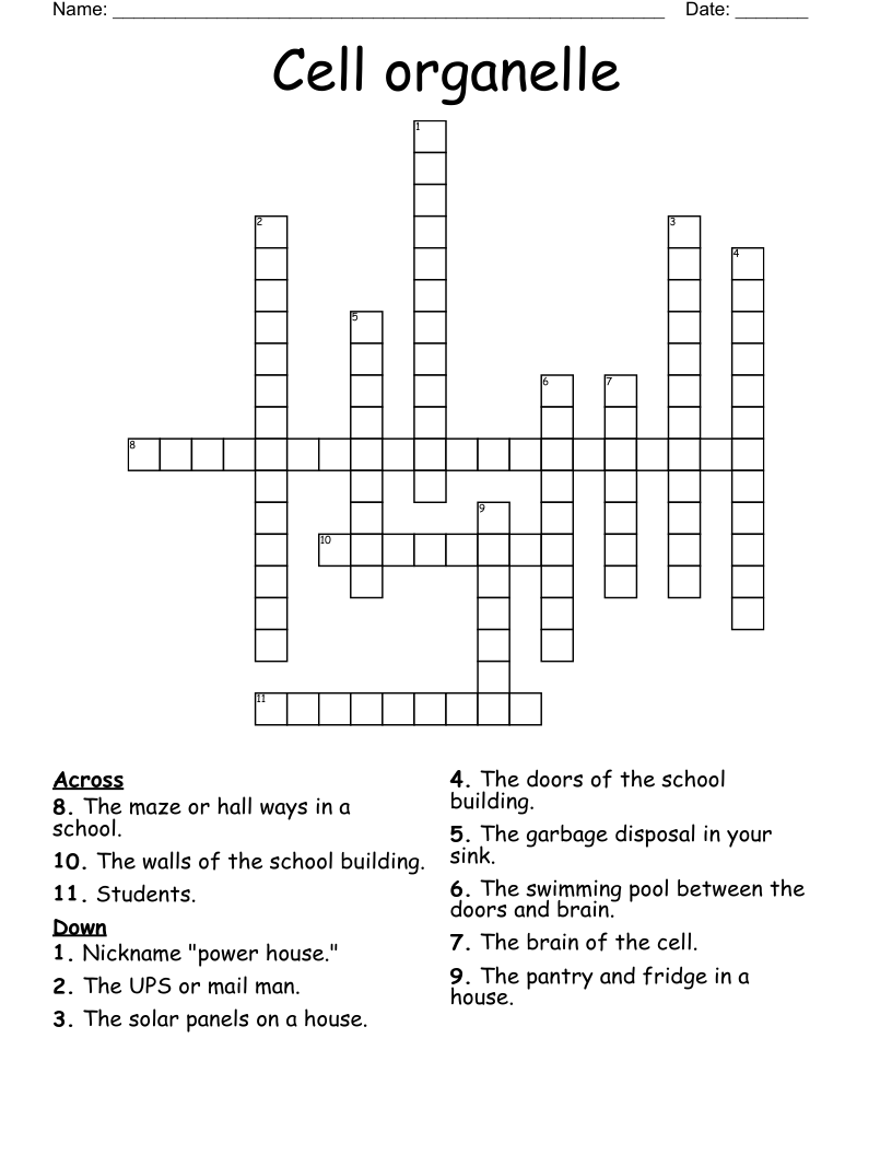 Cell organelle Crossword