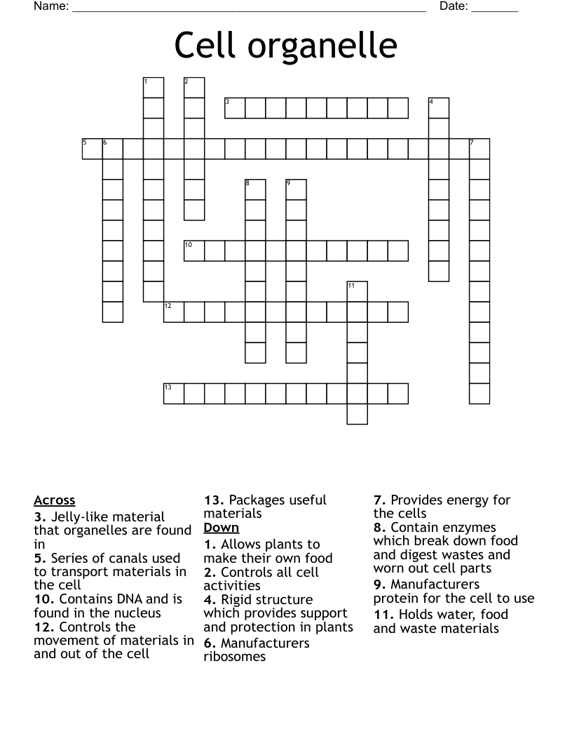 Cell organelle Crossword