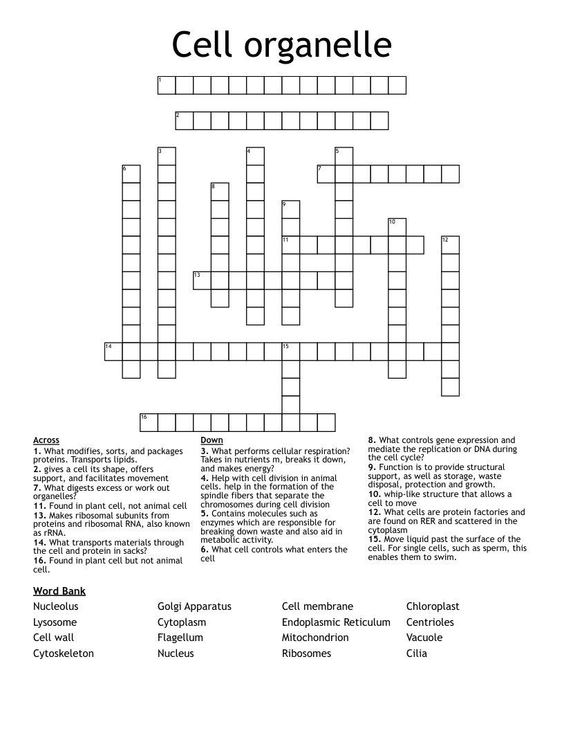 Cell organelle  Crossword
