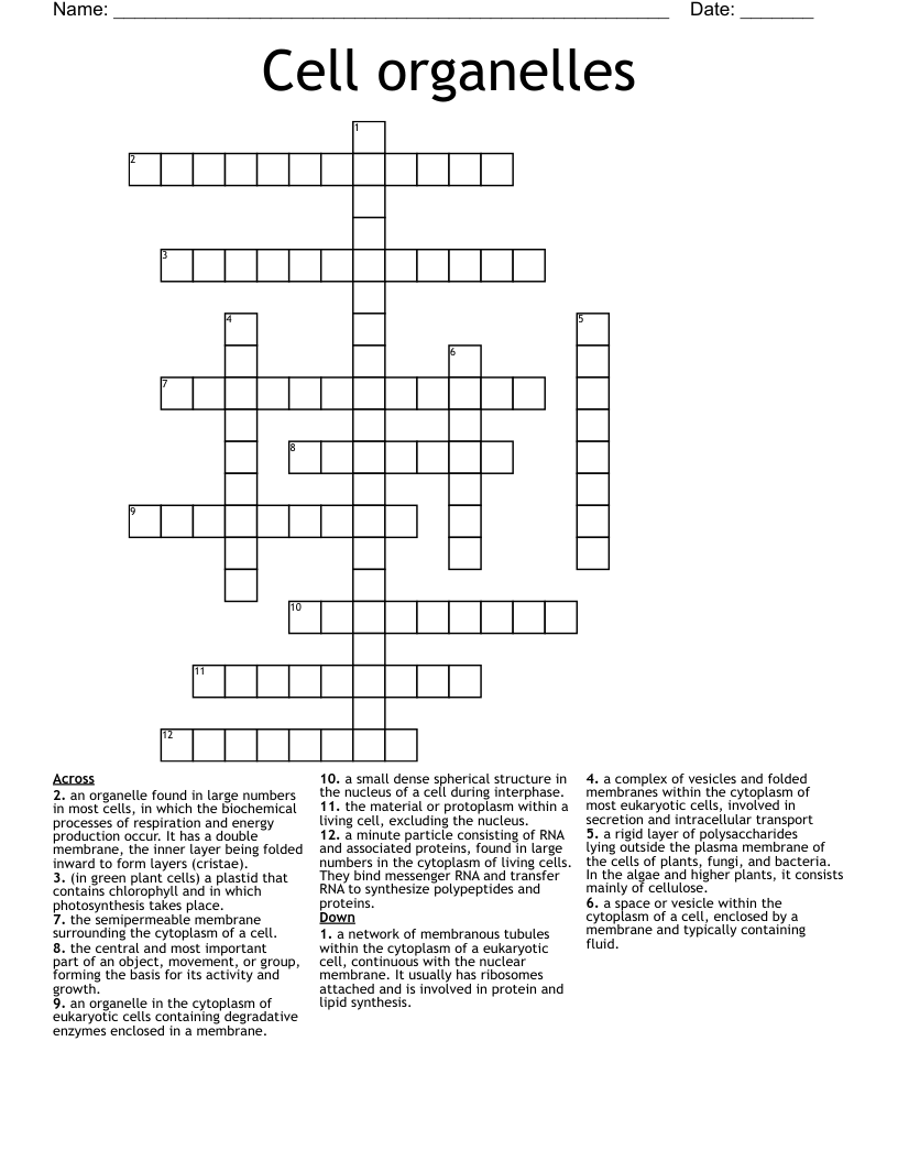 Cell organelles Crossword