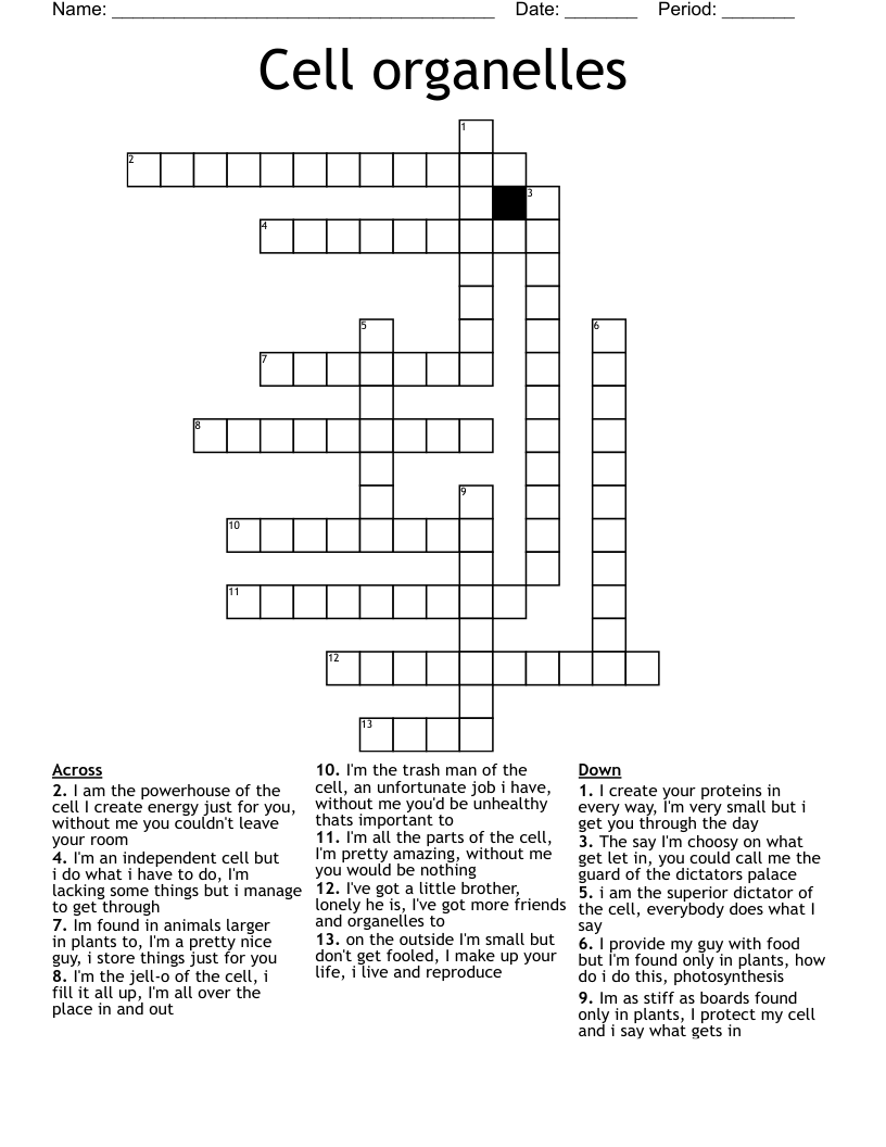 Cell organelles Crossword