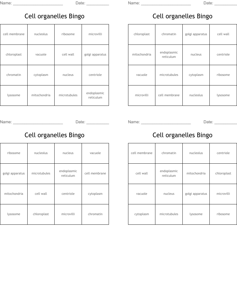 Cell organelles Bingo