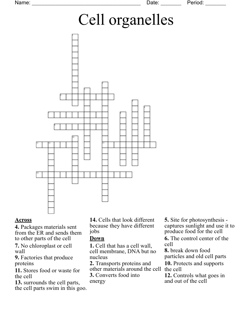 Cell organelles  Crossword