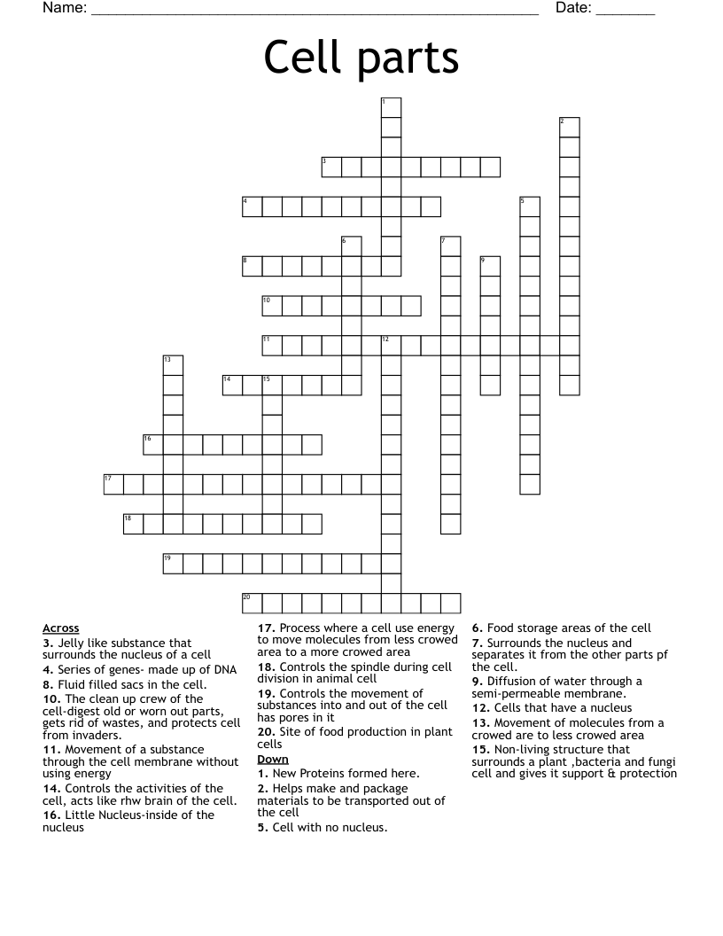 Cell parts Crossword