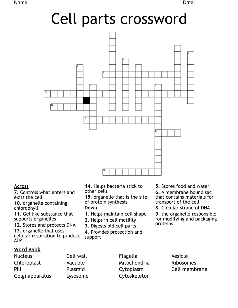 Cell parts crossword