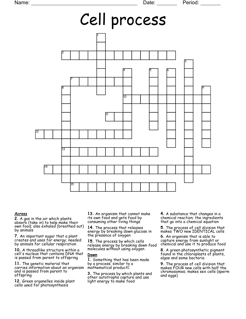 Cell process Crossword