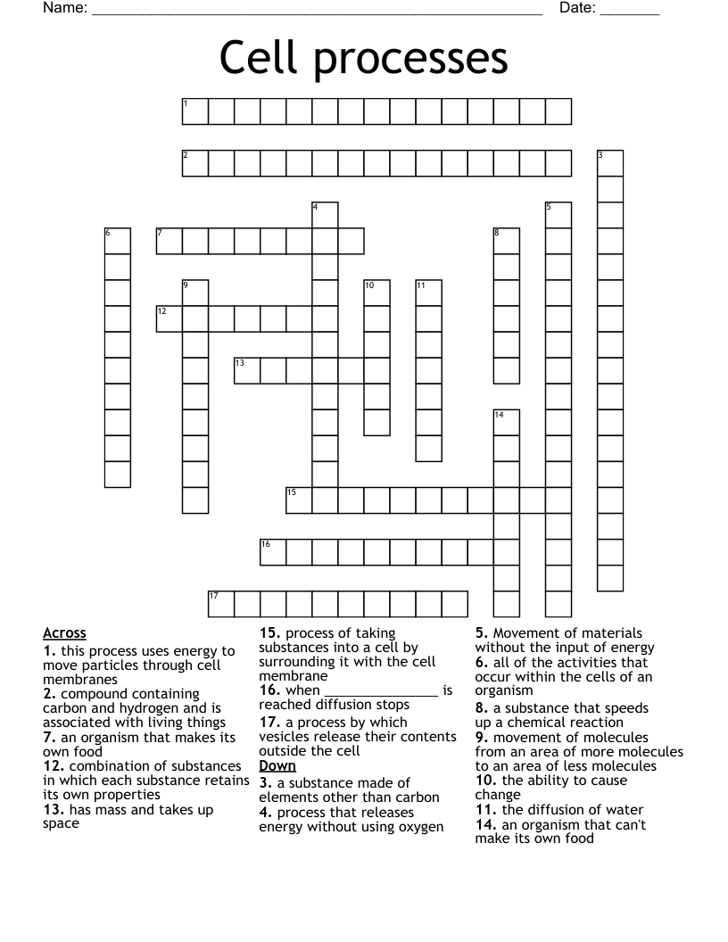Cell processes  Crossword