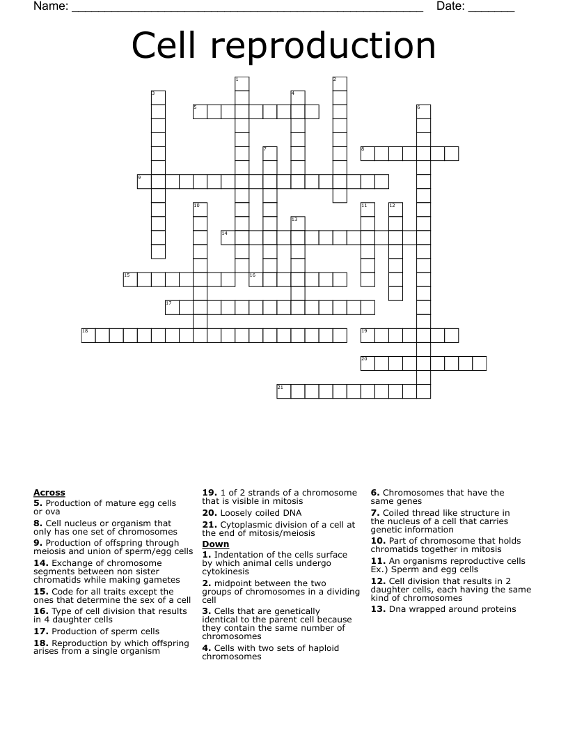 Cell reproduction Crossword