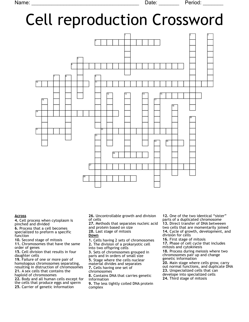 Cell reproduction Crossword