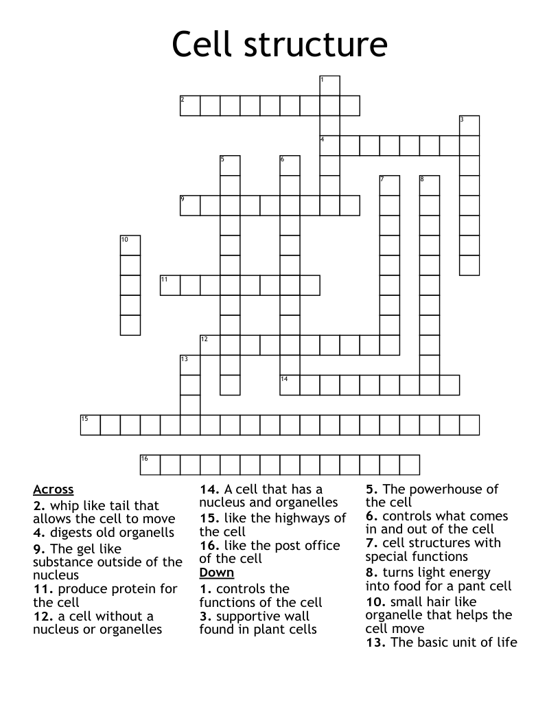 Cell structure Crossword