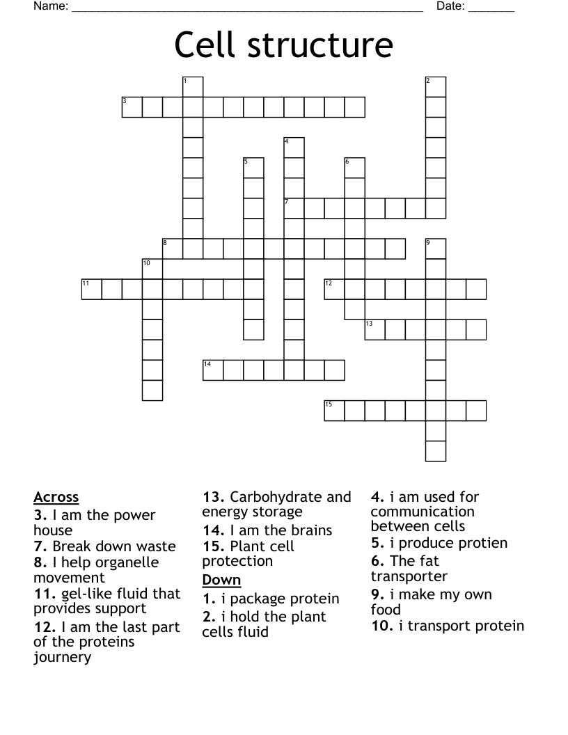 Cell structure Crossword