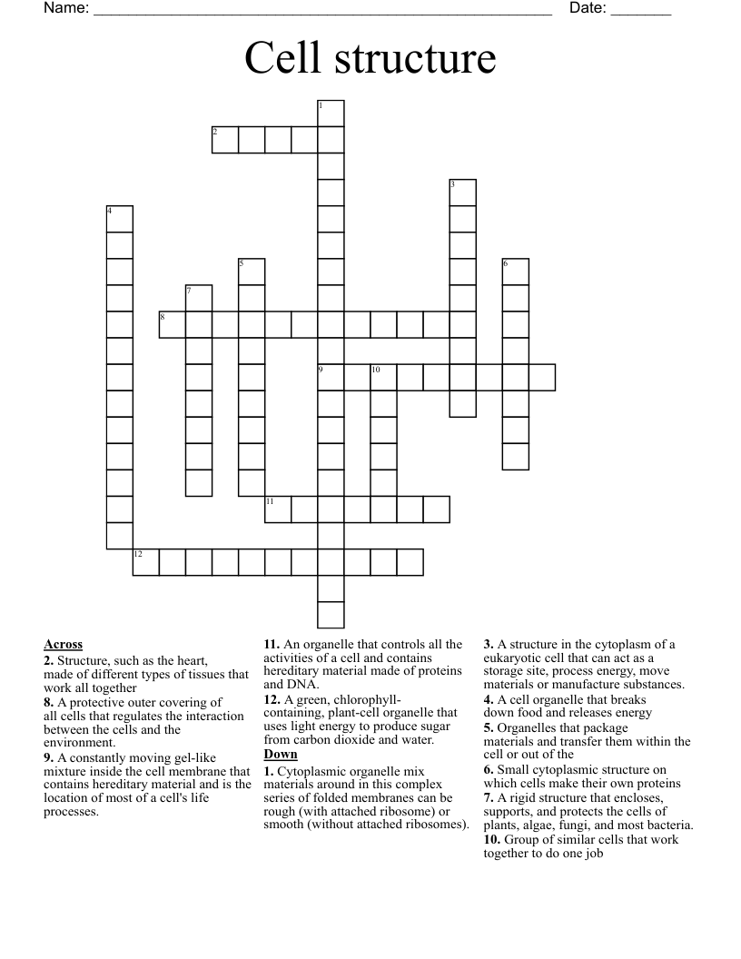 Cell structure  Crossword