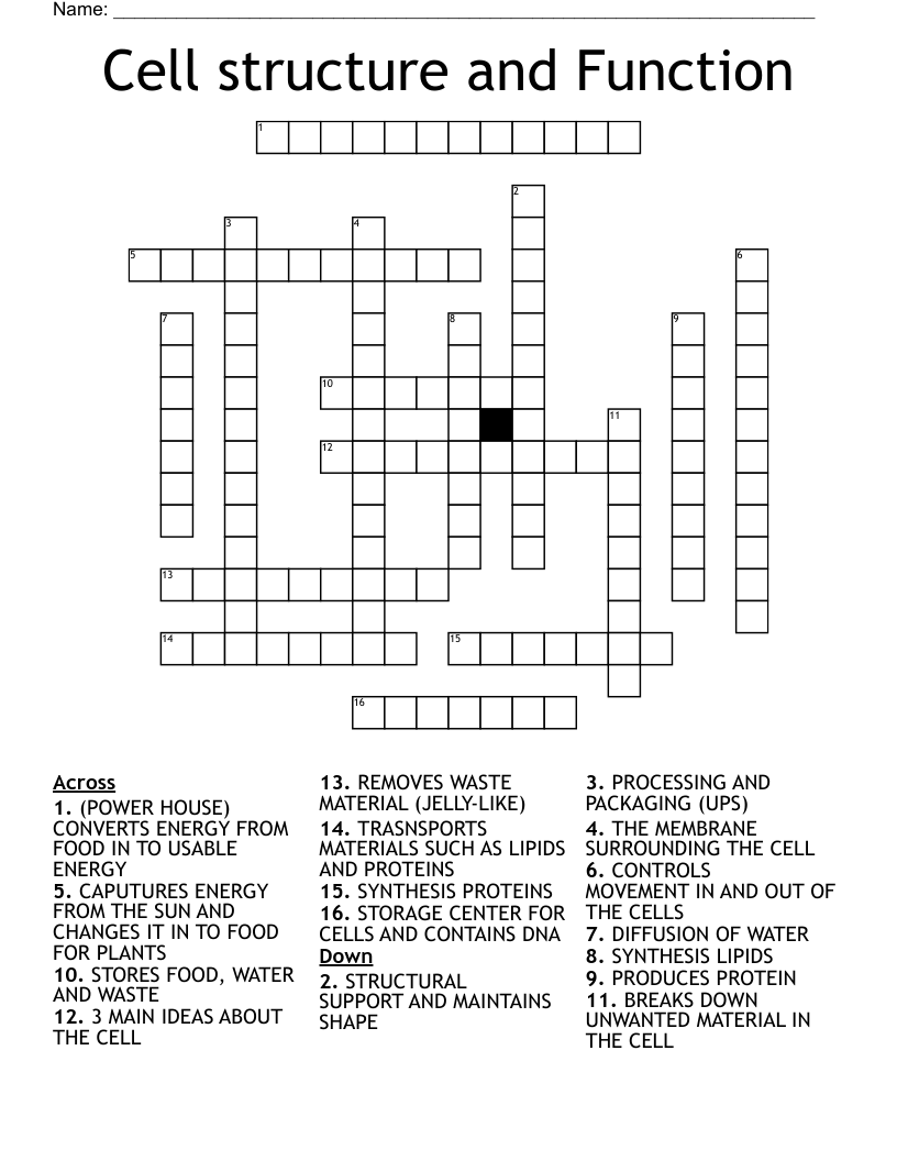 Cell structure and Function Crossword