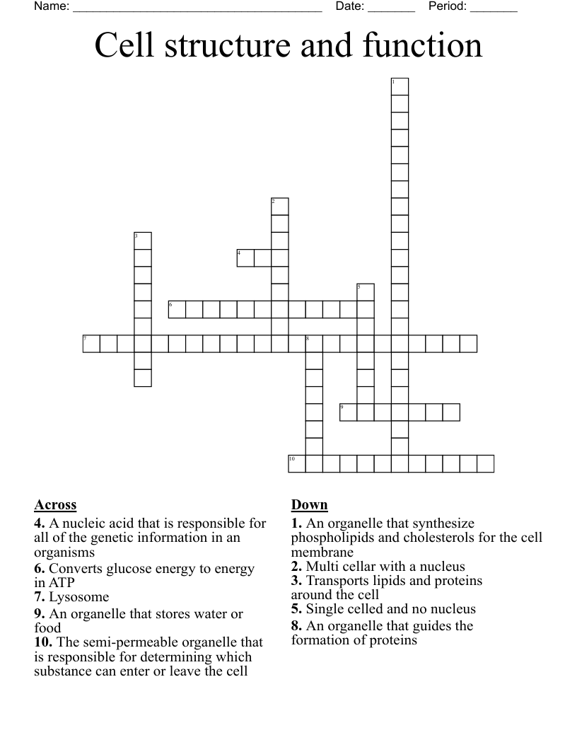 Cell structure and function Crossword