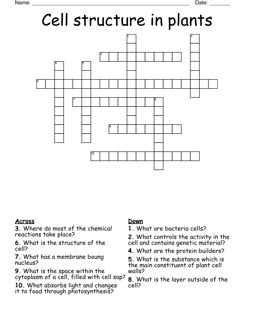 Cell structure in plants Crossword