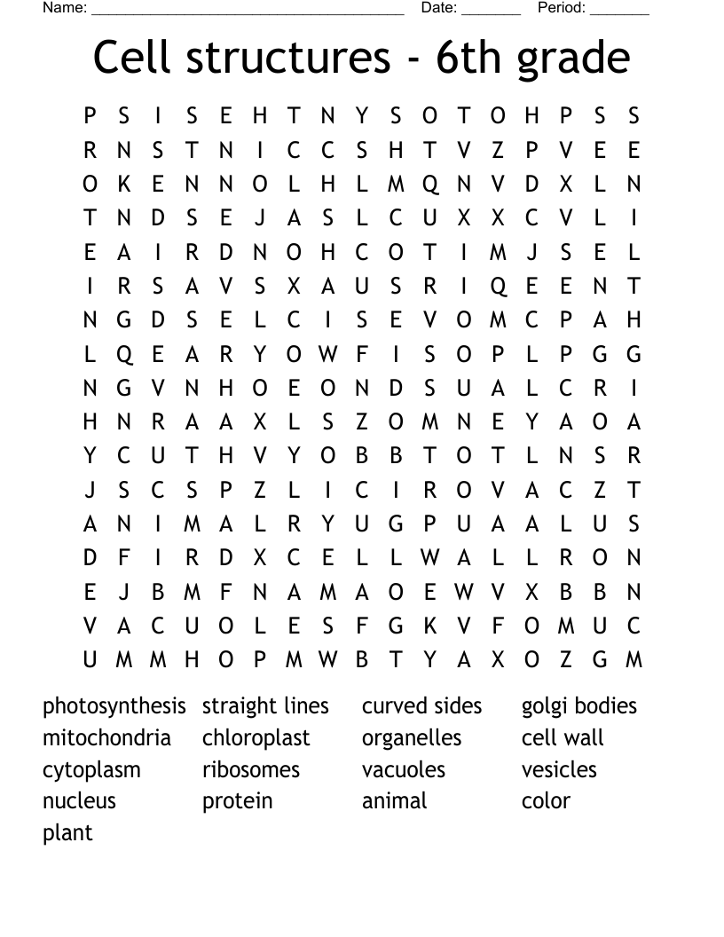 Cell structures - 6th grade  Word Search