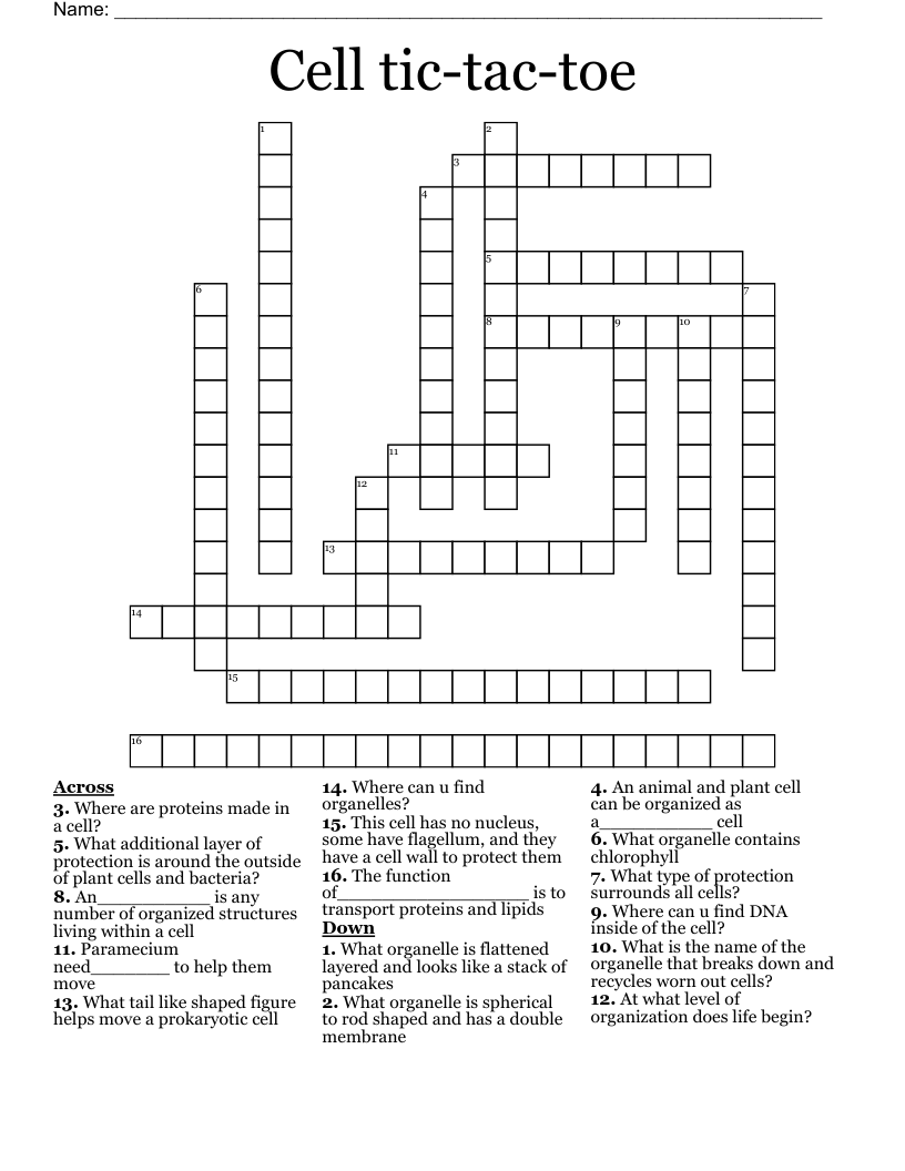 Cell tic-tac-toe Crossword
