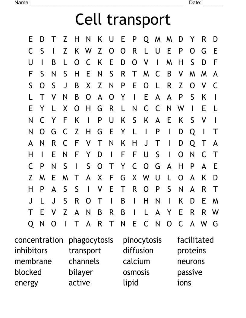 Cell transport  Word Search