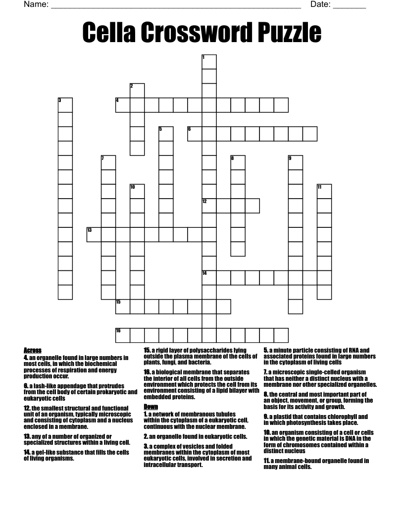 Cella Crossword Puzzle 