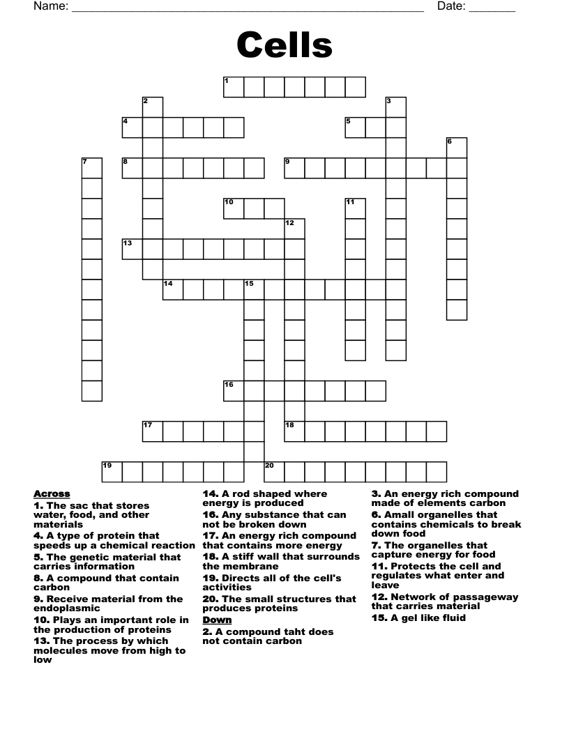 Cells Crossword