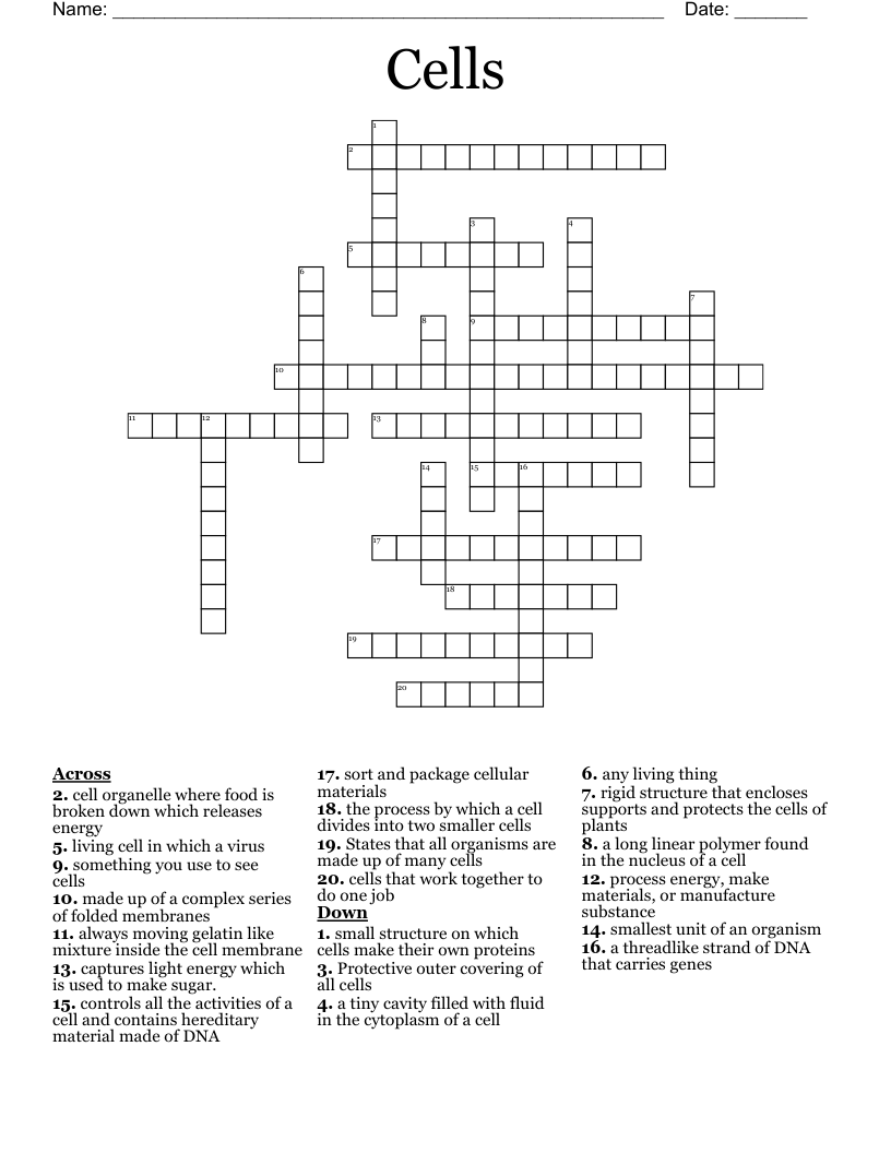 Cells Crossword