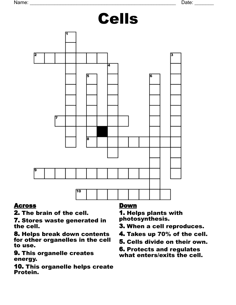 Cells Crossword