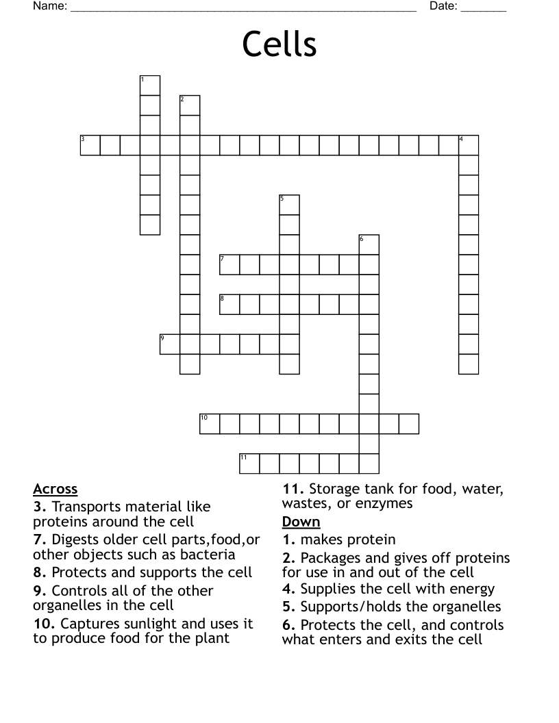 Cells Crossword