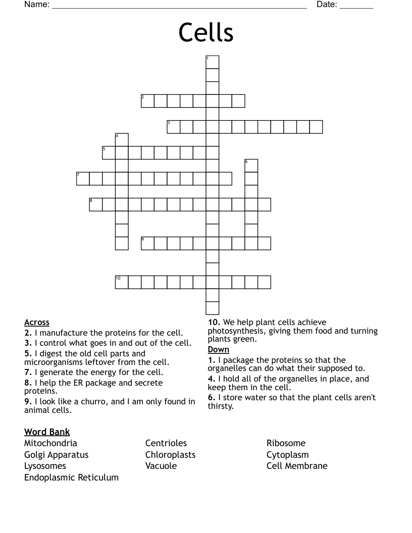 Cells Crossword