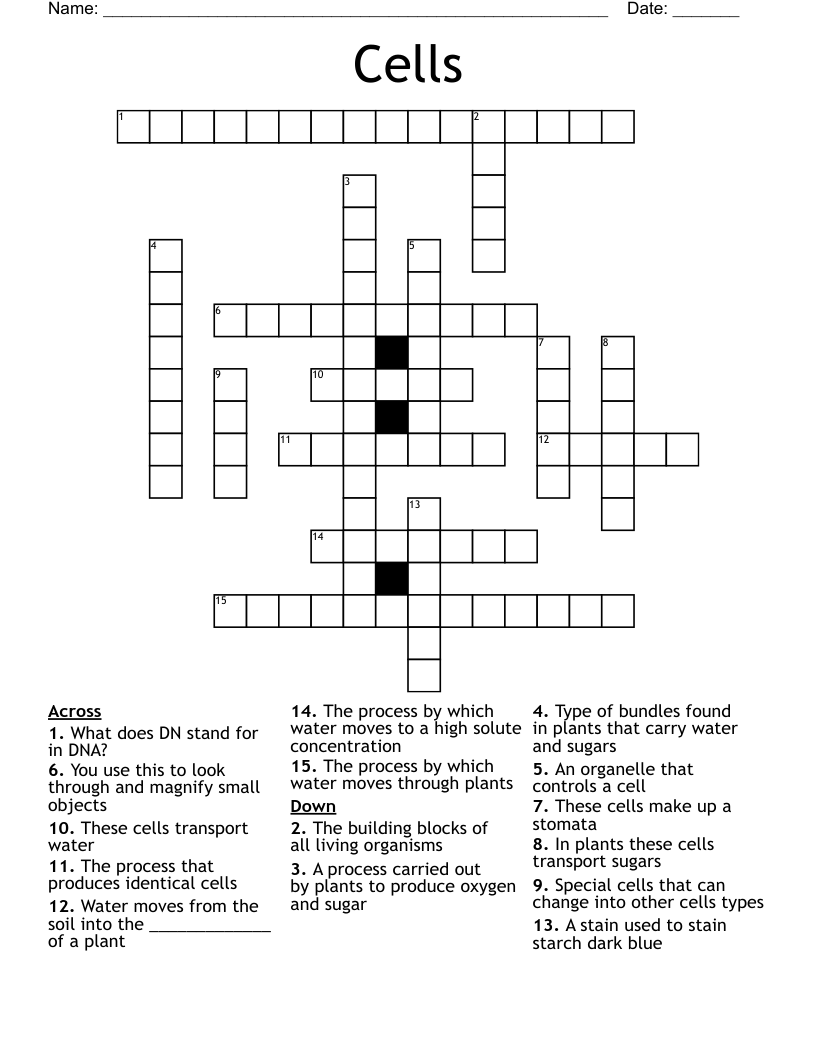 Cells Crossword