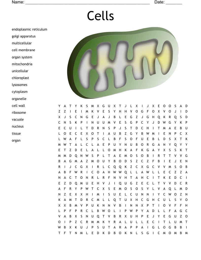 Cells Word Search