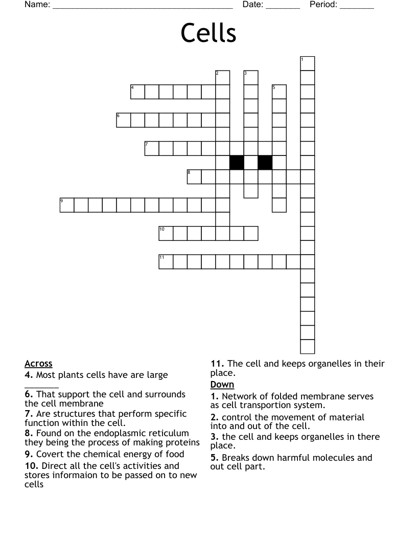 Cells Crossword
