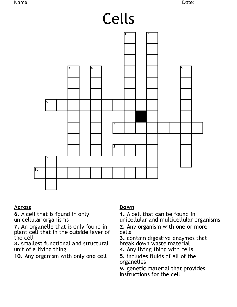 Cells Crossword