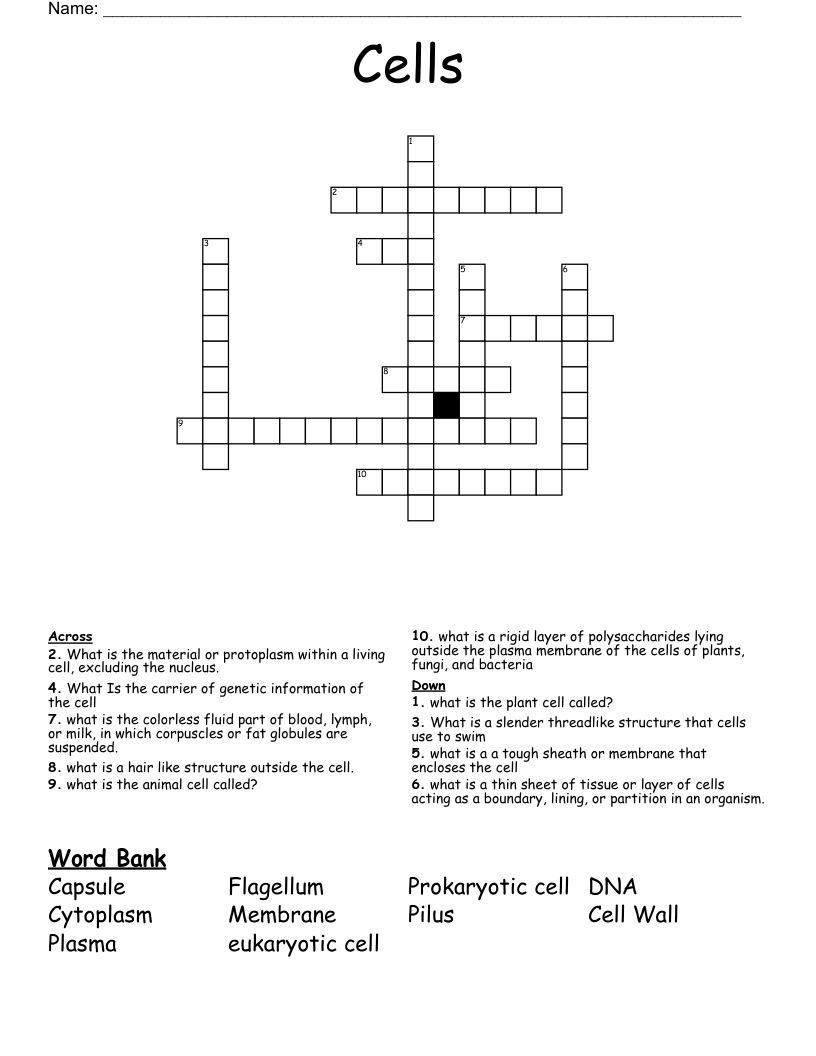 Cells Crossword