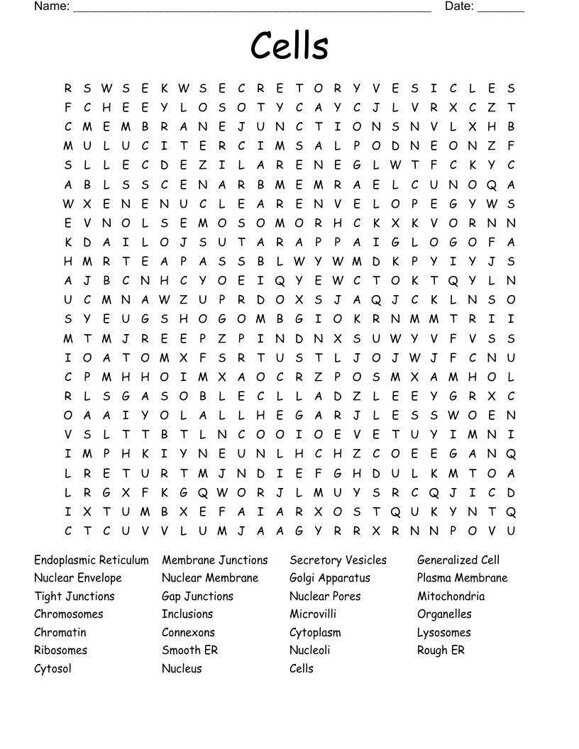 Cells Word Search