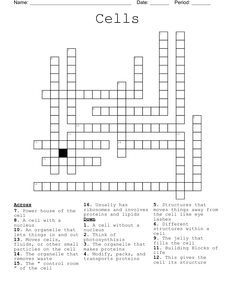 Cells Crossword