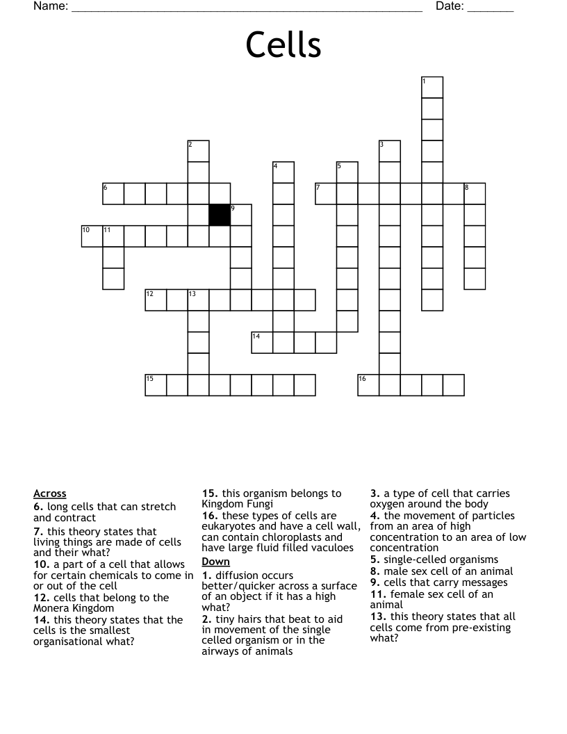Cells Crossword