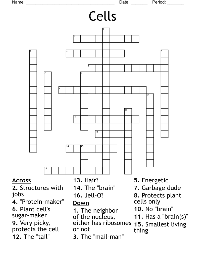 Cells Crossword