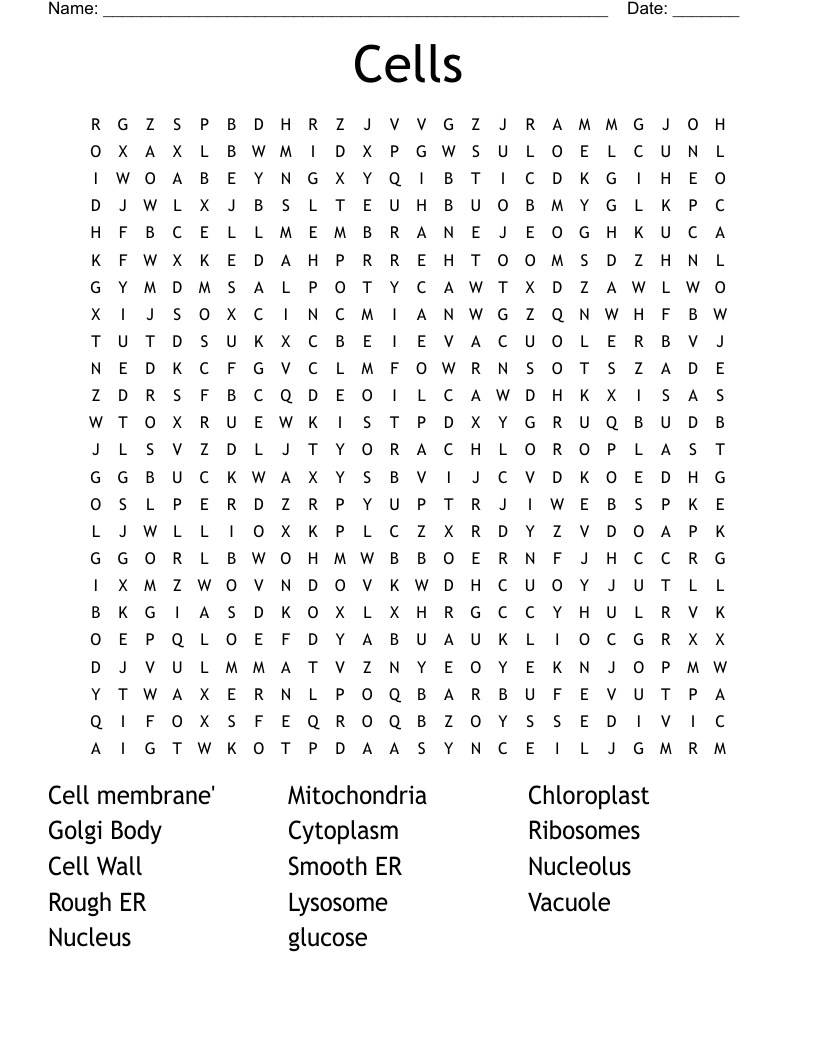 Cells Word Search