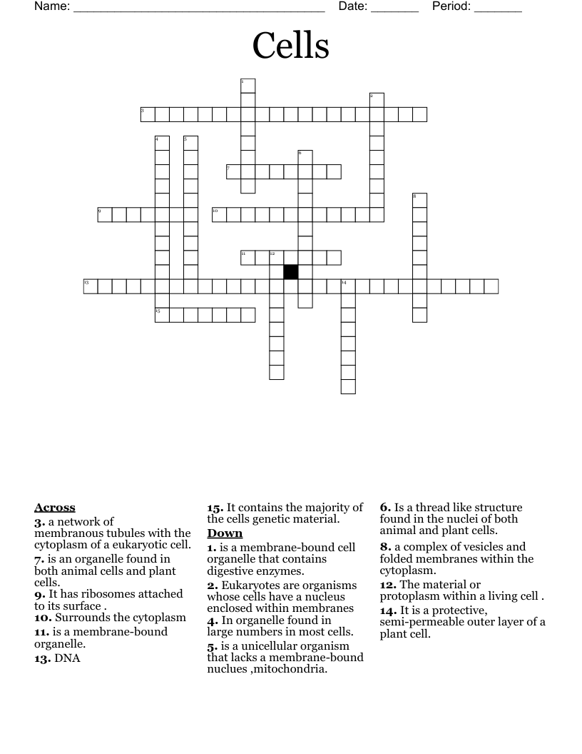 Cells Crossword